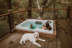 10 Best pet resorts and spas in the US